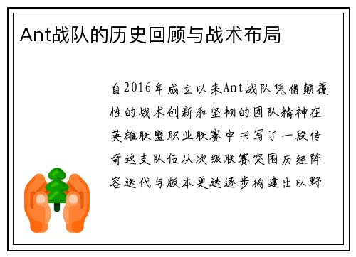 Ant战队的历史回顾与战术布局